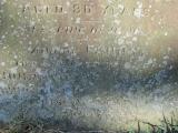 image of grave number 304796